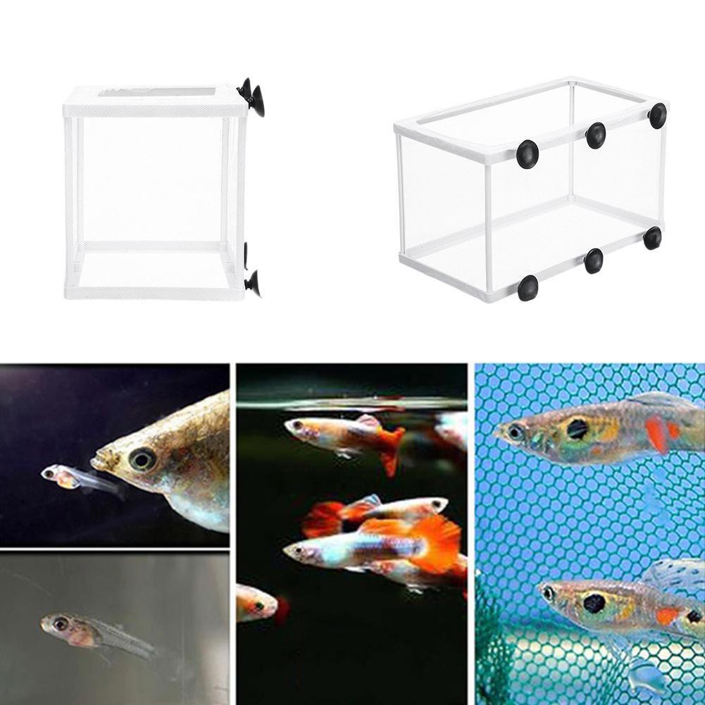 Hatchery Isolation Box for Aqu - огляд і ціна Lab Incubator